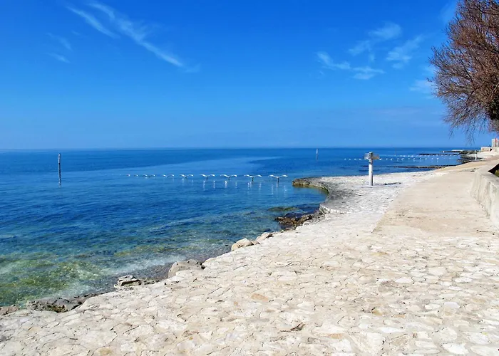 Lejlighed Erdgeschosswohnung Moonlight Mit Terrasse By Interhome Novigrad Istria